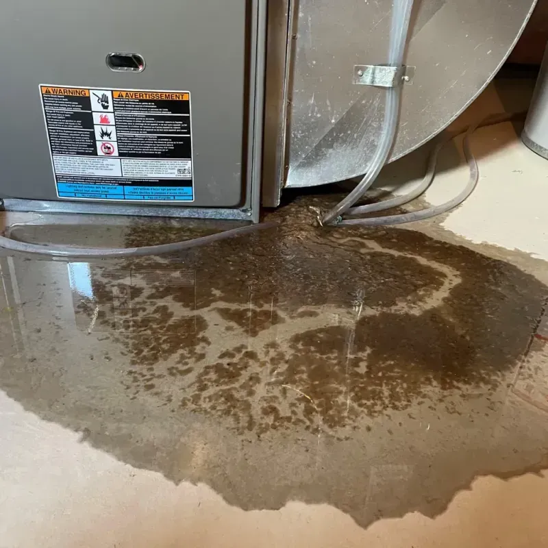 Appliance Leak Cleanup in Westport, NC